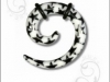 Weisse Spirale Stern